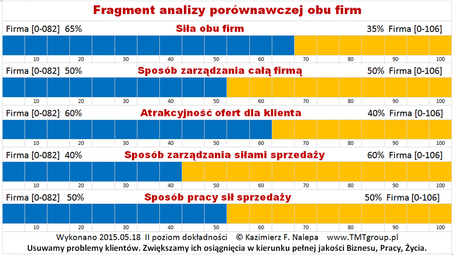 N-I-21_Analiza_konkurencji_i_otoczenia_Kazimierz_F_Nalepa_www.TMTgroup.pl